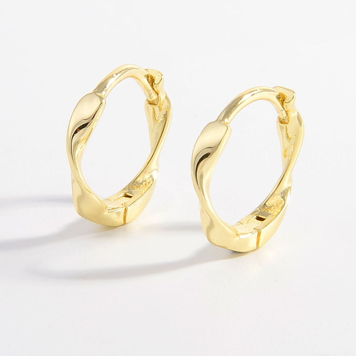 Elegant 925 Sterling Silver Hoop Earrings for All Occasions
