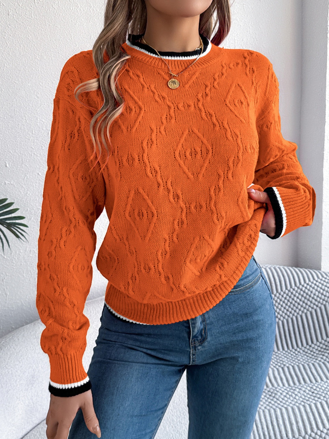 Contrast Trim Round Neck Long Sleeve Sweater for Women