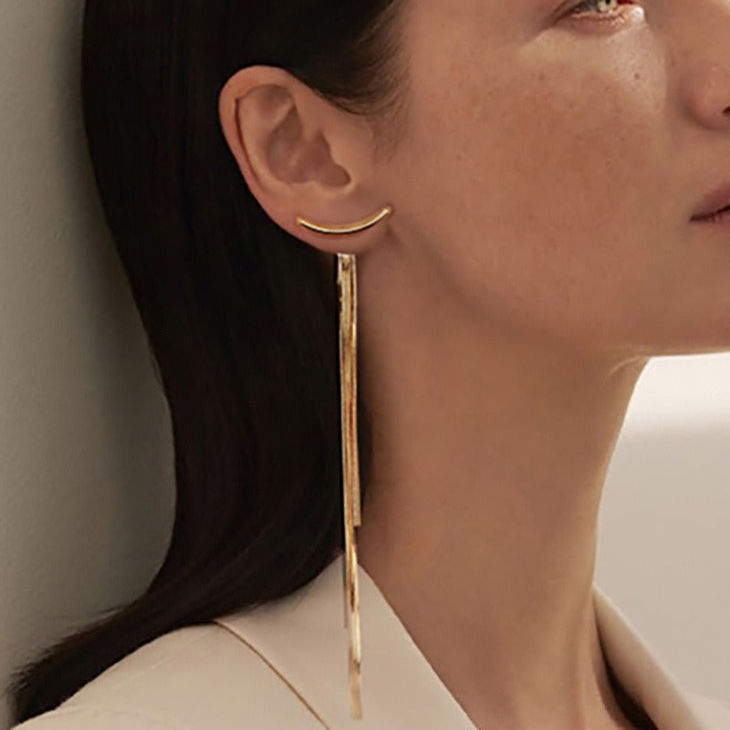 Tassel earrings, female metal snake bone long style earrings, earrings