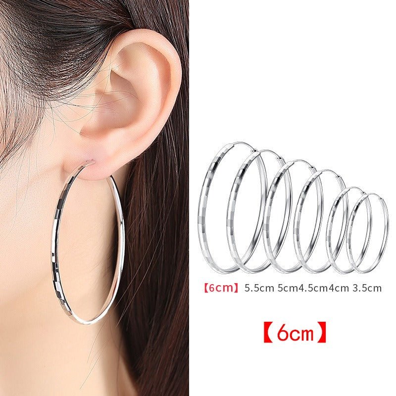 925 Sterling Silver Senior Sense Circle Earrings Female New Temperament Niche Design Sense Large Earrings Thin Earrings