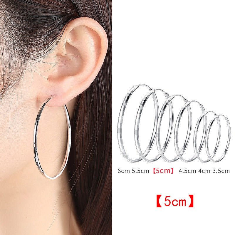 925 Sterling Silver Senior Sense Circle Earrings Female New Temperament Niche Design Sense Large Earrings Thin Earrings