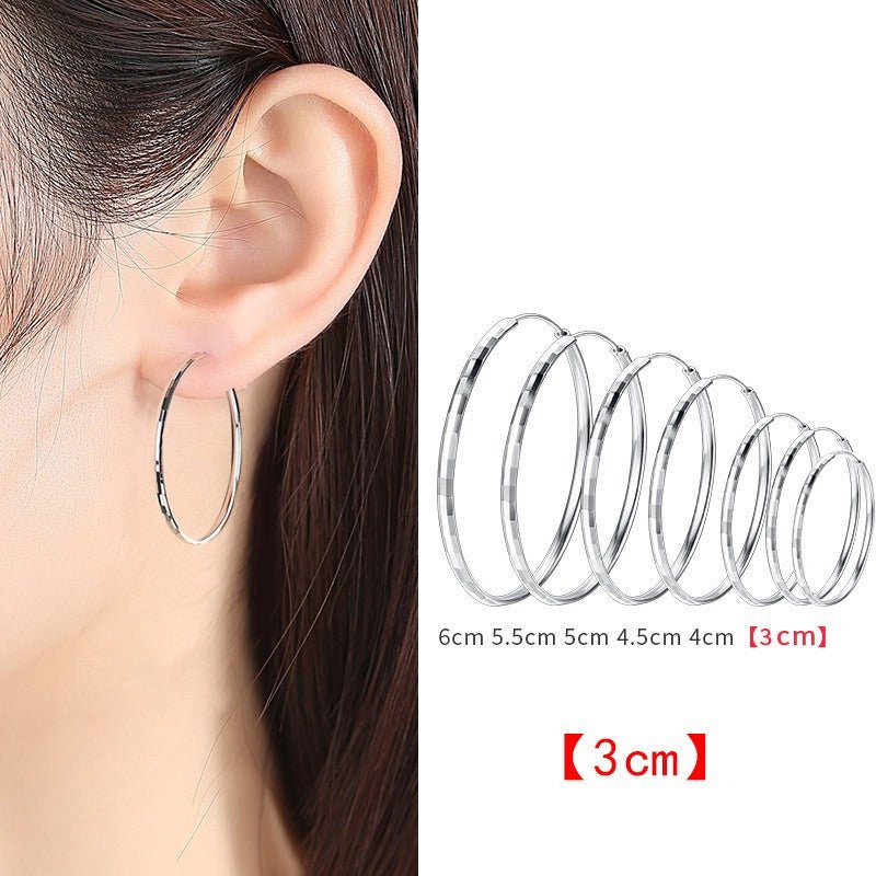 925 Sterling Silver Senior Sense Circle Earrings Female New Temperament Niche Design Sense Large Earrings Thin Earrings