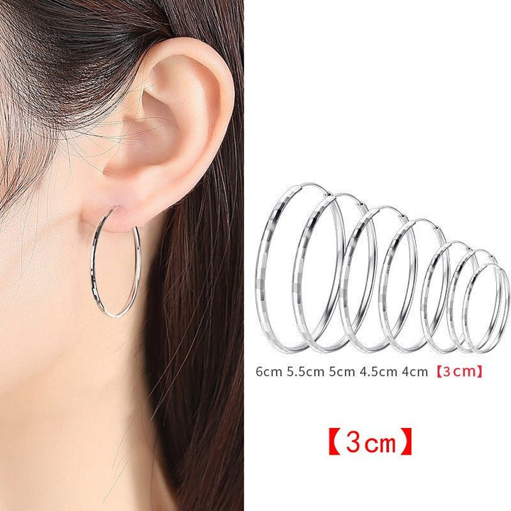 925 Sterling Silver Senior Sense Circle Earrings Female New Temperament Niche Design Sense Large Earrings Thin Earrings