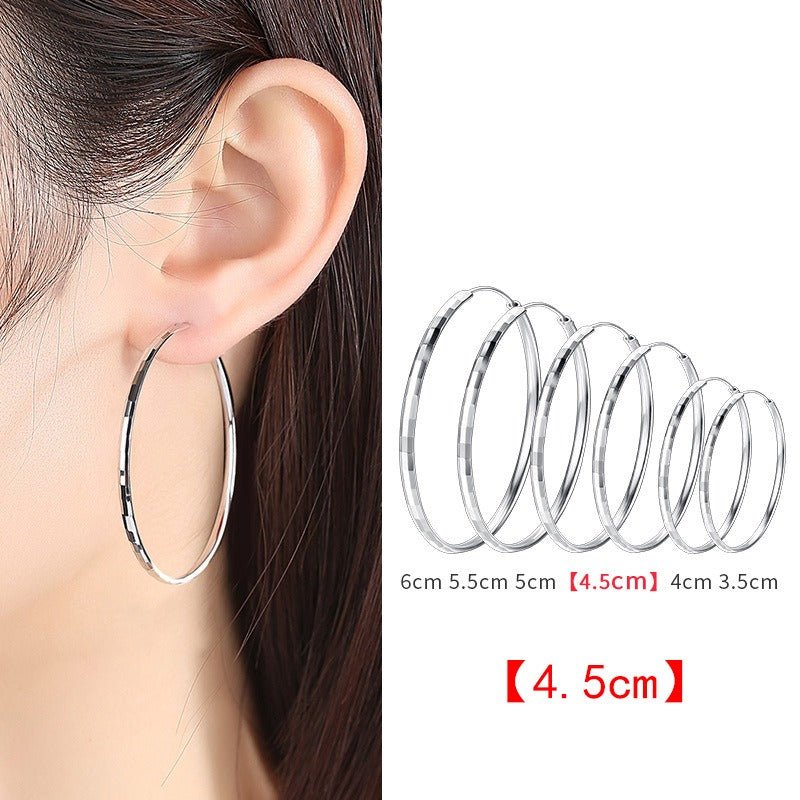 925 Sterling Silver Senior Sense Circle Earrings Female New Temperament Niche Design Sense Large Earrings Thin Earrings