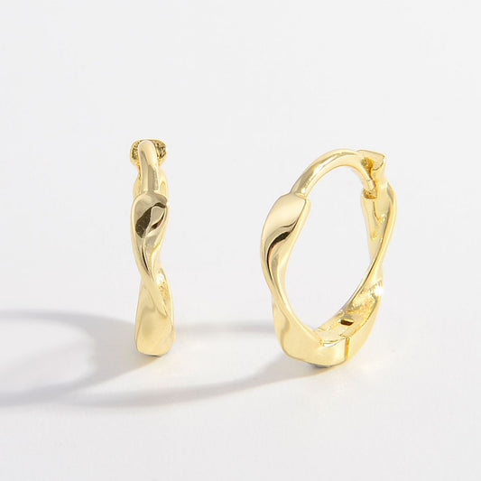Elegant 925 Sterling Silver Hoop Earrings for All Occasions