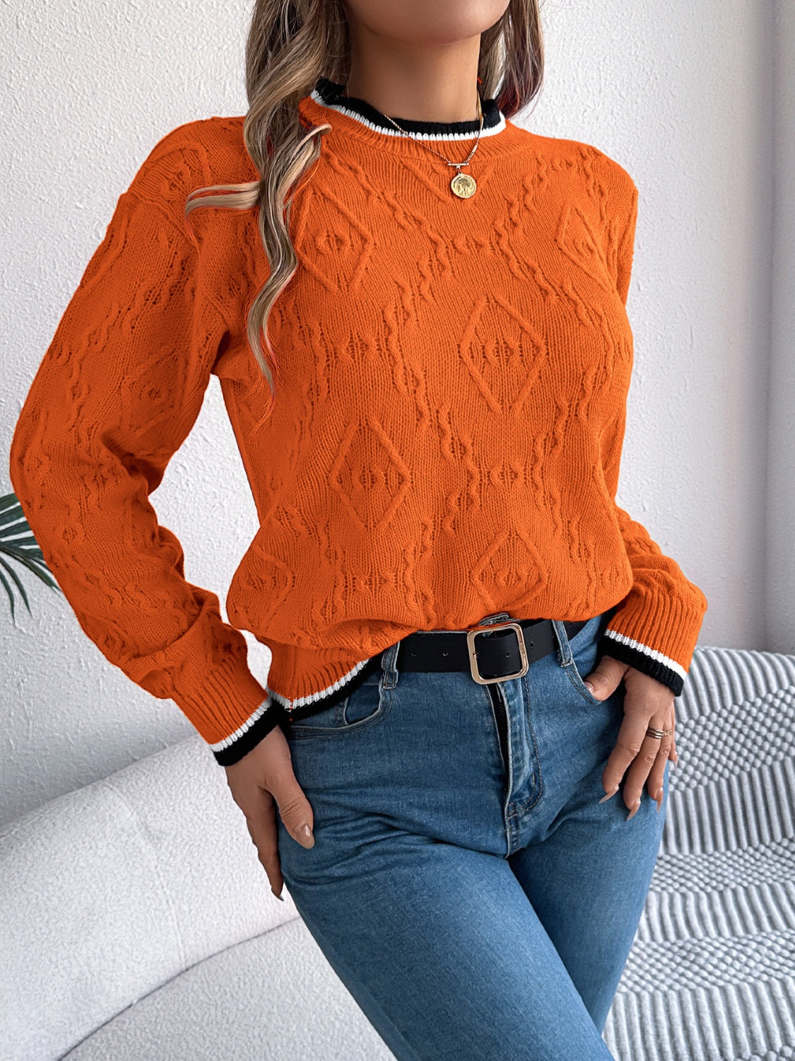 Contrast Trim Round Neck Long Sleeve Sweater for Women