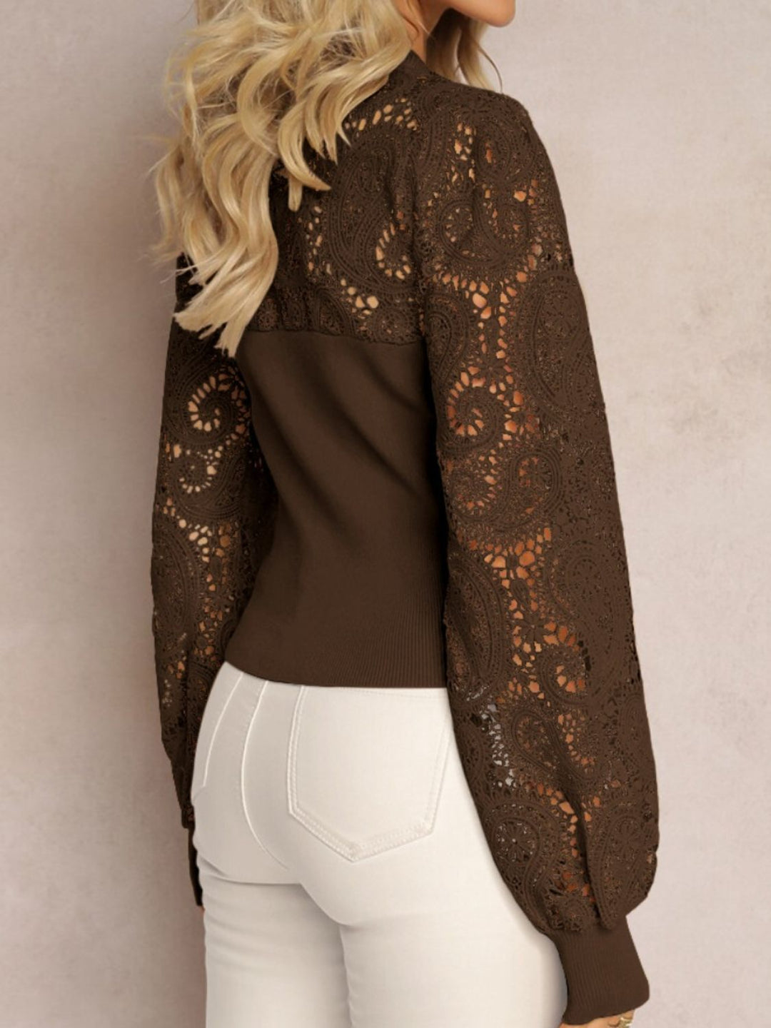 Elegant Lace Sheer Long Sleeve Top with Round Neck