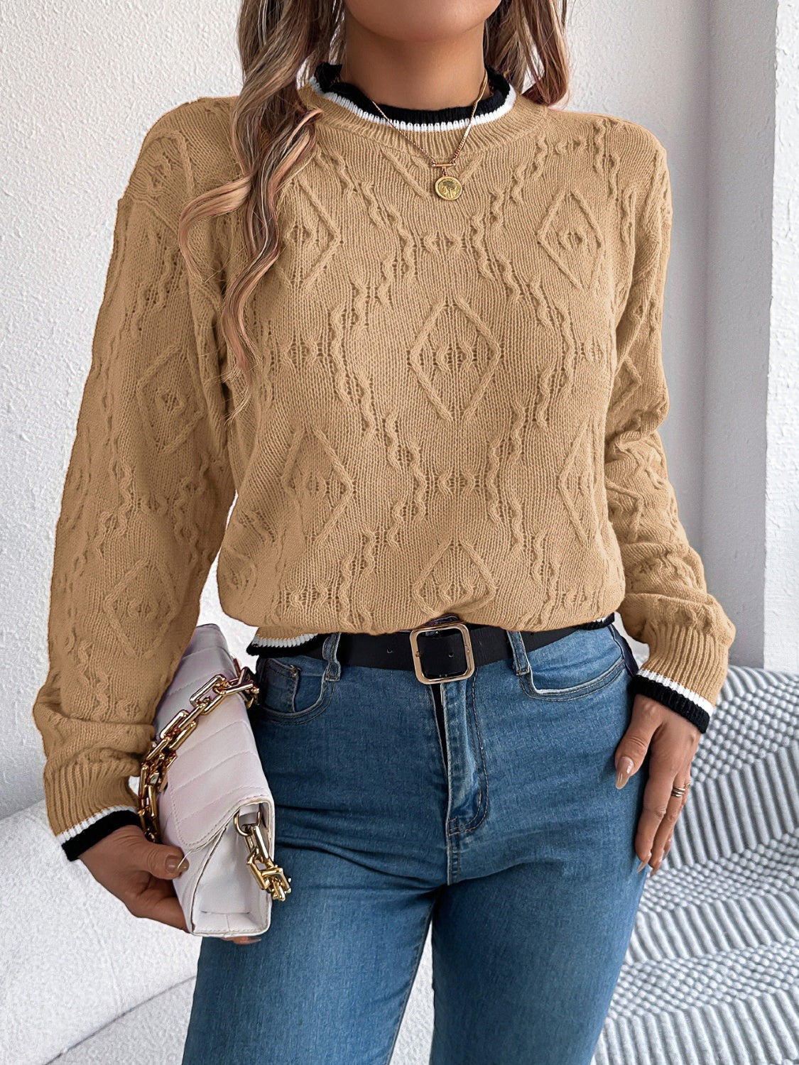 Contrast Trim Round Neck Long Sleeve Sweater for Women