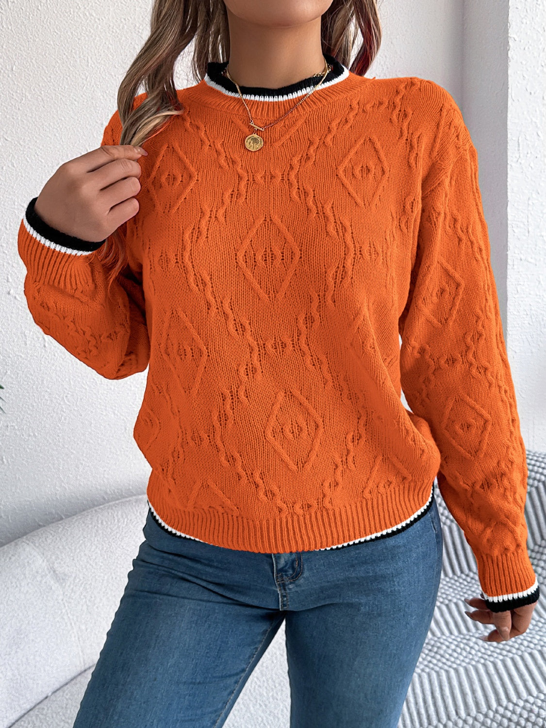 Contrast Trim Round Neck Long Sleeve Sweater for Women