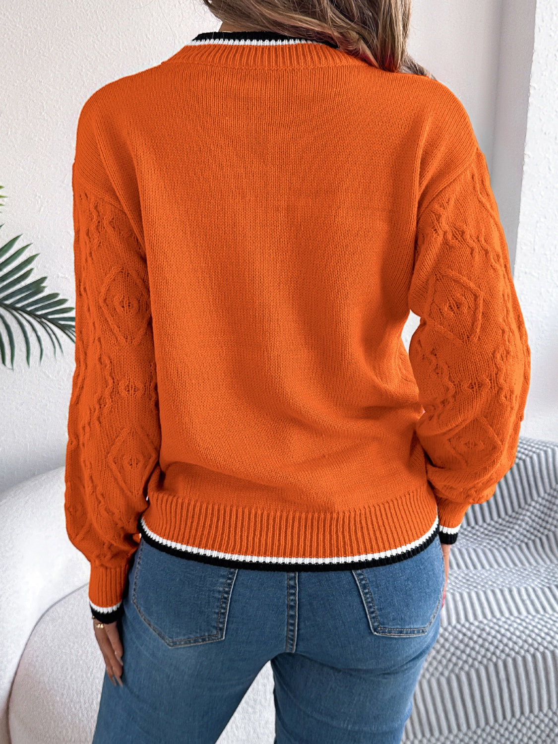 Contrast Trim Round Neck Long Sleeve Sweater for Women