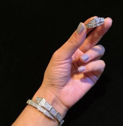 Charming Snake Bracelet and Ring Set for Women Elegant Jewelry Duo for Everyday Wear