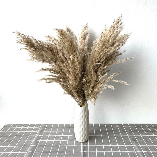 pampas grass decor plants home wedding decor dried flowers bunch feather flowers natural phragmites tall 20-22''  plastic vase