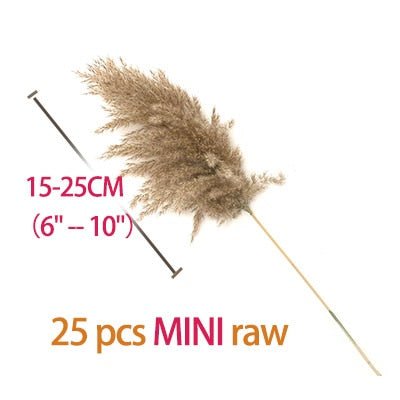 pampas grass decor plants home wedding decor dried flowers bunch feather flowers natural phragmites tall 20-22''  plastic vase