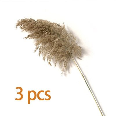 pampas grass decor plants home wedding decor dried flowers bunch feather flowers natural phragmites tall 20-22''  plastic vase