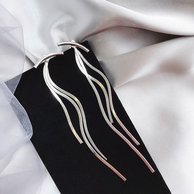 Tassel earrings, female metal snake bone long style earrings, earrings