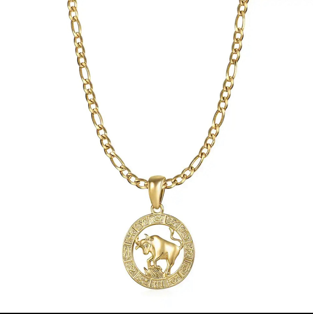 Zodiac Sign Necklace Stainless Steel