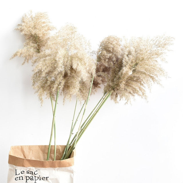 pampas grass decor plants home wedding decor dried flowers bunch feather flowers natural phragmites tall 20-22''  plastic vase
